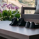 Alpstuga Aracancias Borrastre