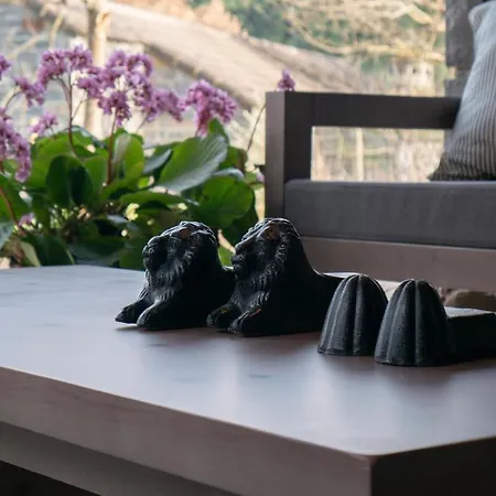 Alpesi faház Aracancias Borrastre