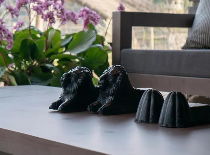 Alpstuga Aracancias Borrastre